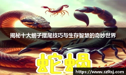 九游娱乐入口