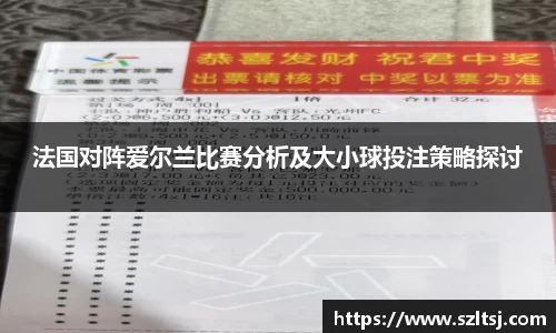 法国对阵爱尔兰比赛分析及大小球投注策略探讨